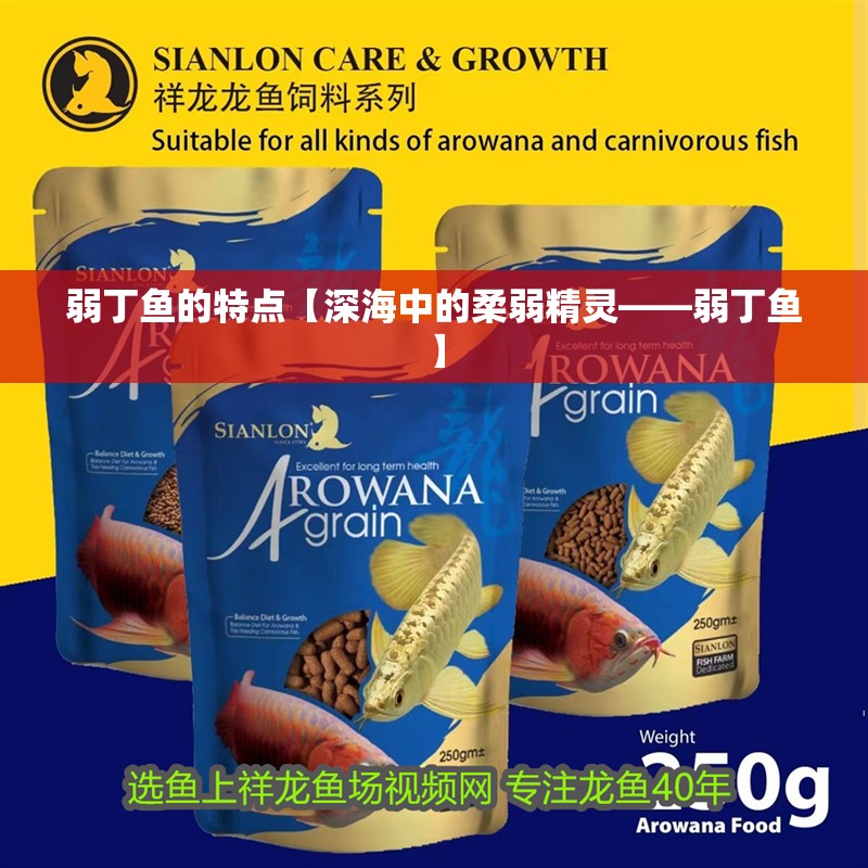 弱丁魚的特點(diǎn)【深海中的柔弱精靈——弱丁魚】