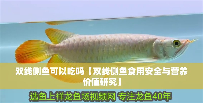 雙線側魚可以吃嗎【雙線側魚食用安全與營養價值研究】