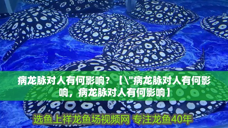 病龍脈對人有何影響？【\