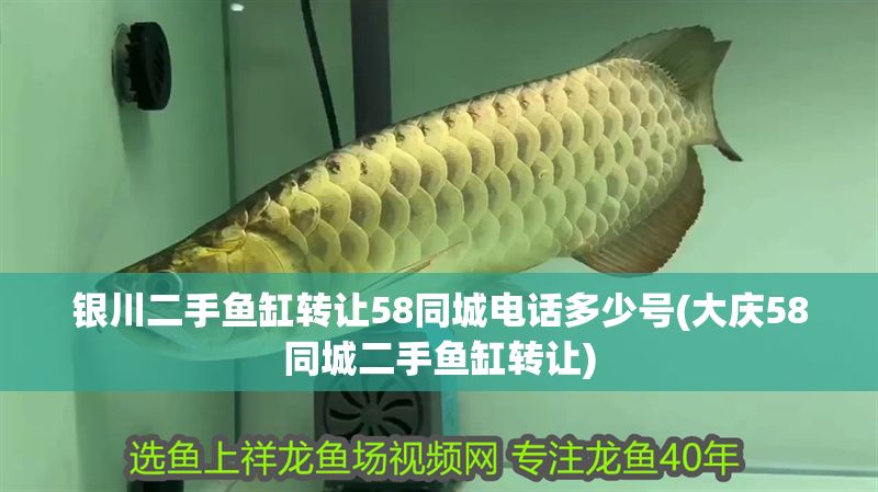 銀川二手魚缸轉讓58同城電話多少號(大慶58同城二手魚缸轉讓)