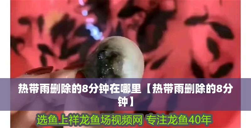 熱帶雨刪除的8分鐘在哪里【熱帶雨刪除的8分鐘】