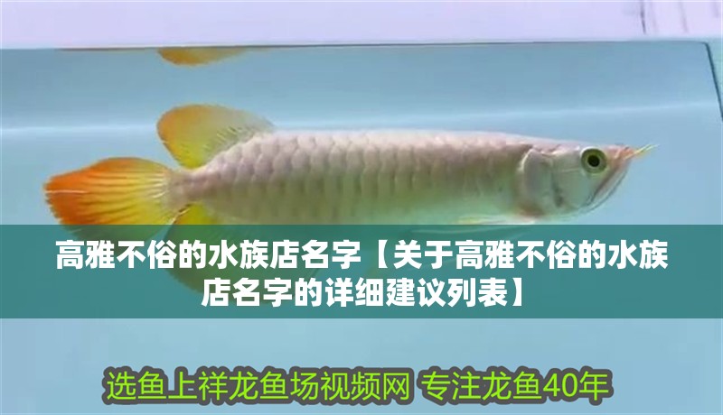 高雅不俗的水族店名字【關于高雅不俗的水族店名字的詳細建議列表】