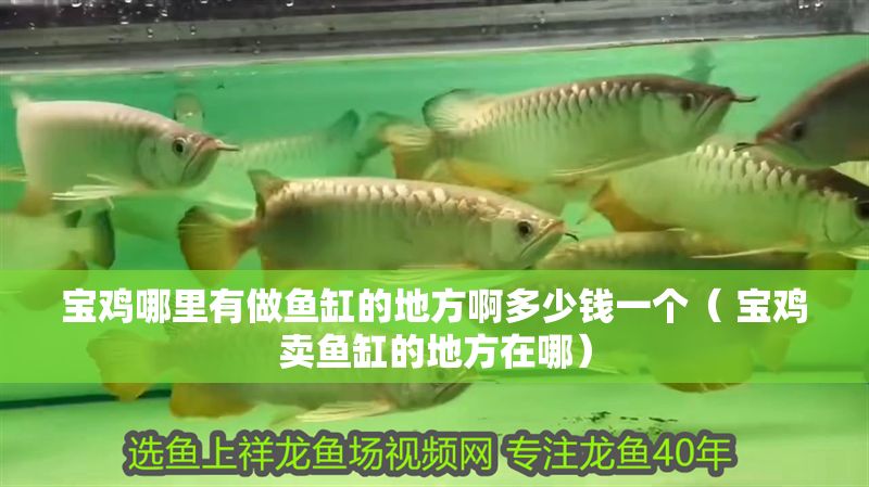 寶雞哪里有做魚缸的地方啊多少錢一個（ 寶雞賣魚缸的地方在哪）
