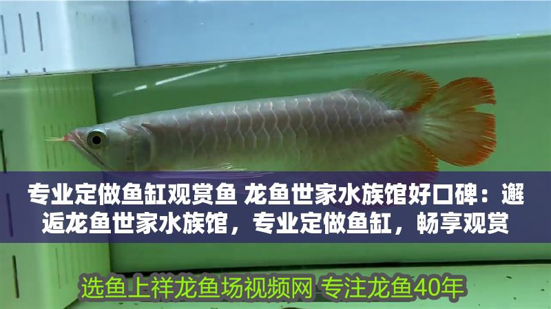 專業定做魚缸觀賞魚 龍魚世家水族館好口碑：邂逅龍魚世家水族館，專業定做魚缸，暢享觀賞魚之美