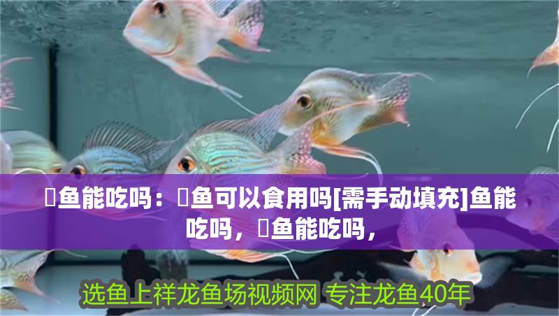 魟魚能吃嗎：魟魚可以食用嗎[需手動填充]魚能吃嗎，魟魚能吃嗎，