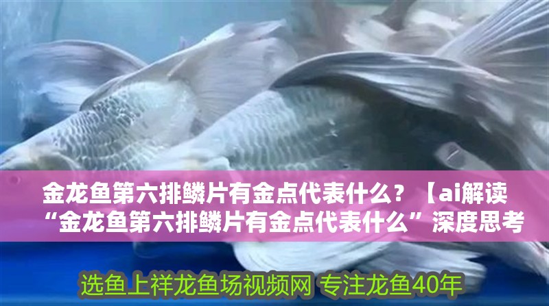 金龍魚第六排鱗片有金點代表什么？【ai解讀“金龍魚第六排鱗片有金點代表什么”深度思考完成】