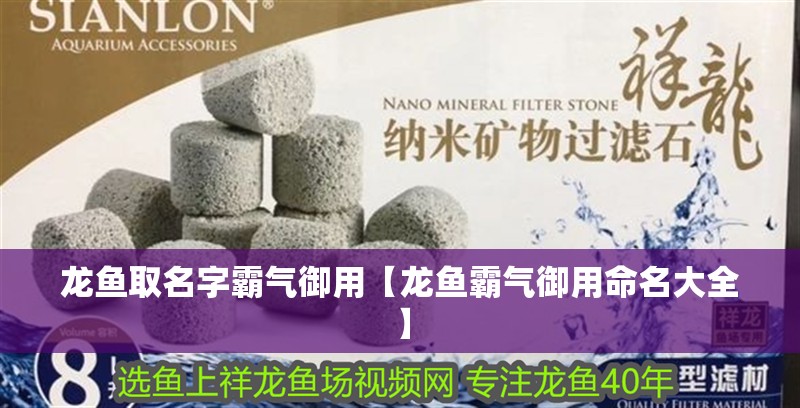 龍魚取名字霸氣御用【龍魚霸氣御用命名大全】