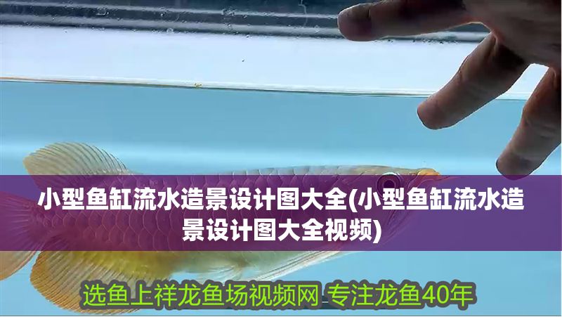 小型魚缸流水造景設計圖大全(小型魚缸流水造景設計圖大全視頻)