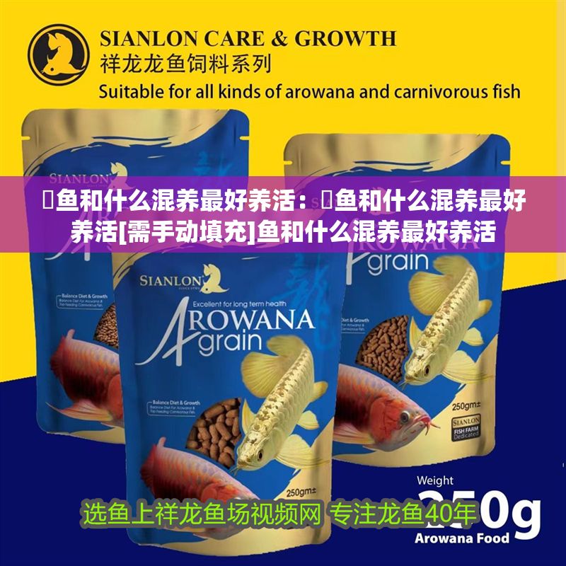 魟魚和什么混養(yǎng)最好養(yǎng)活：魟魚和什么混養(yǎng)最好養(yǎng)活[需手動(dòng)填充]魚和什么混養(yǎng)最好養(yǎng)活