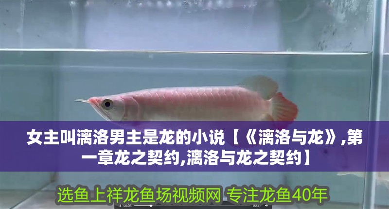 女主叫漓洛男主是龍的小說【《漓洛與龍》,第一章龍之契約,漓洛與龍之契約】