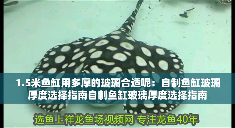 1.5米魚缸用多厚的玻璃合適呢：自制魚缸玻璃厚度選擇指南自制魚缸玻璃厚度選擇指南