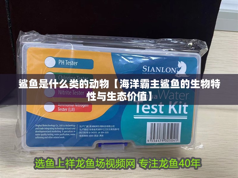 鯊魚是什么類的動物【海洋霸主鯊魚的生物特性與生態價值】