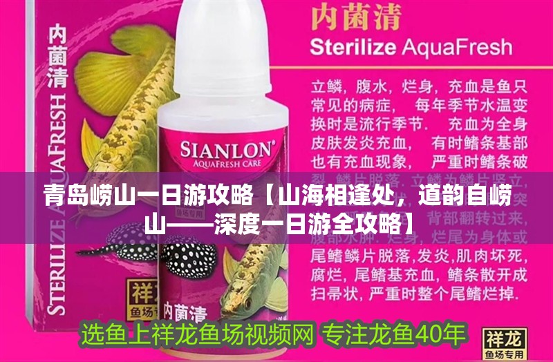 青島嶗山一日游攻略【山海相逢處，道韻自嶗山——深度一日游全攻略】