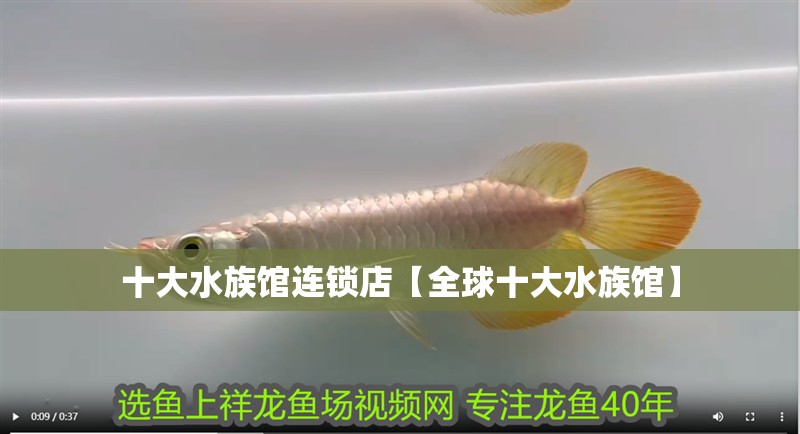 十大水族館連鎖店【全球十大水族館】