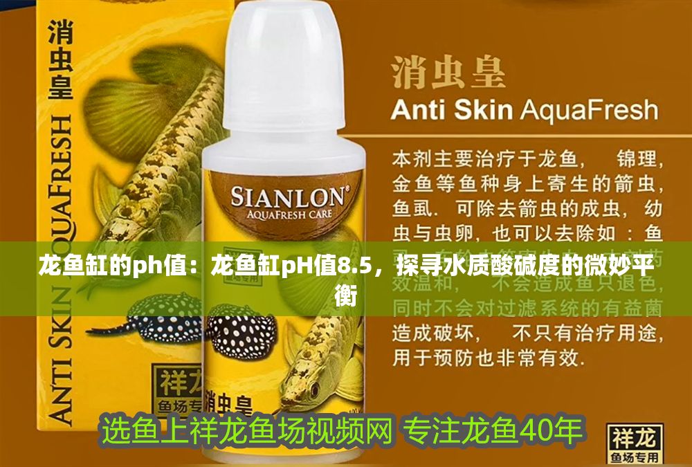 龍魚缸的ph值：龍魚缸pH值8.5，探尋水質酸堿度的微妙平衡