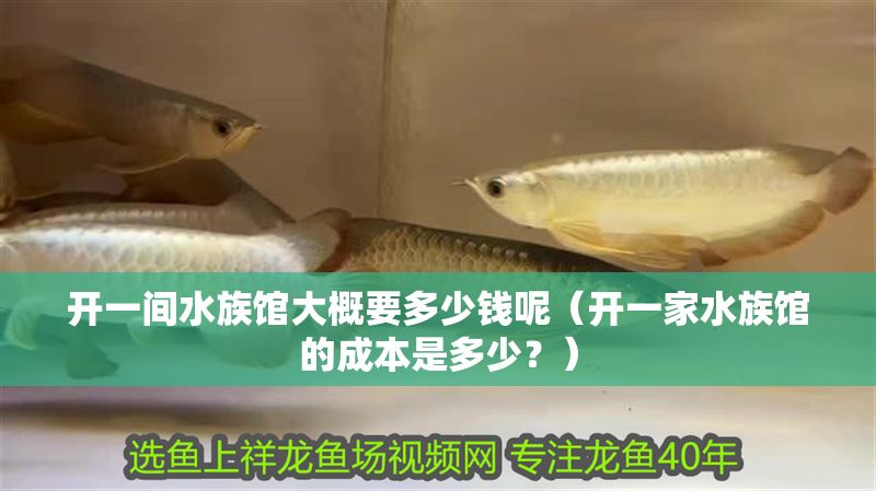 開一間水族館大概要多少錢呢（開一家水族館的成本是多少？）
