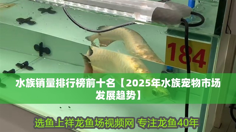 水族銷量排行榜前十名【2025年水族寵物市場發展趨勢】