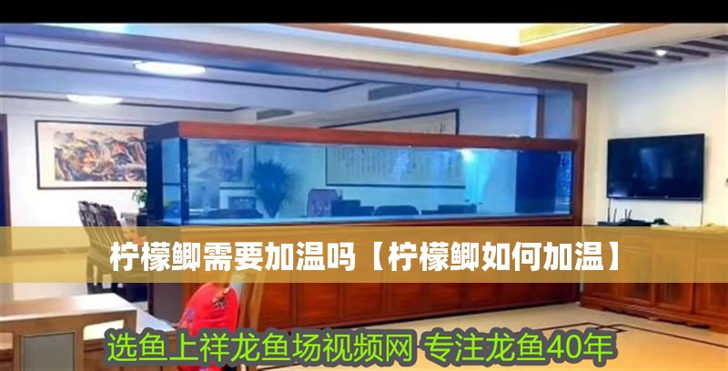 檸檬鯽需要加溫嗎【檸檬鯽如何加溫】