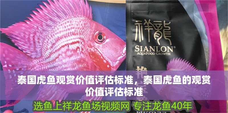 泰國虎魚觀賞價值評估標(biāo)準(zhǔn)，泰國虎魚的觀賞價值評估標(biāo)準(zhǔn)