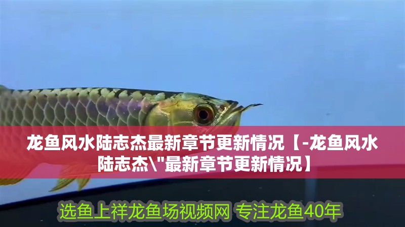 龍魚風(fēng)水陸志杰最新章節(jié)更新情況【-龍魚風(fēng)水陸志杰\