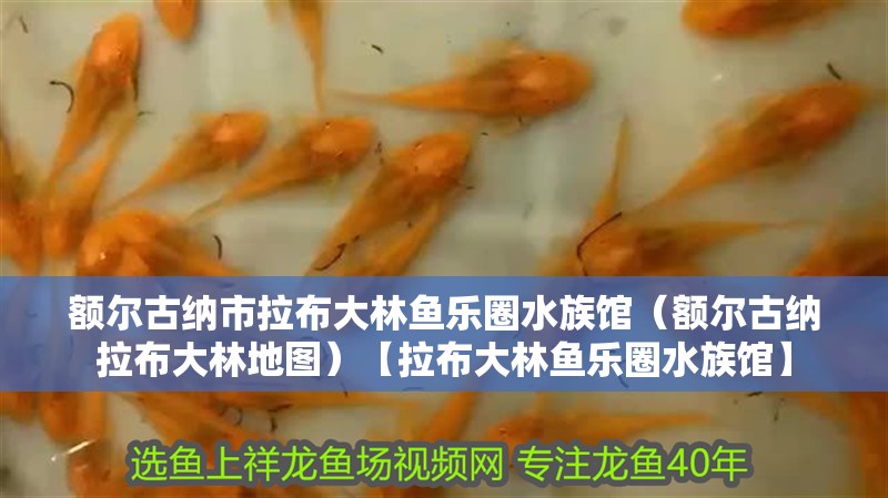 額爾古納市拉布大林魚樂圈水族館（額爾古納拉布大林地圖）【拉布大林魚樂圈水族館】