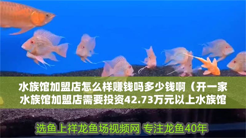 水族館加盟店怎么樣賺錢嗎多少錢?。ㄩ_一家水族館加盟店需要投資42.73萬元以上水族館營銷策略）