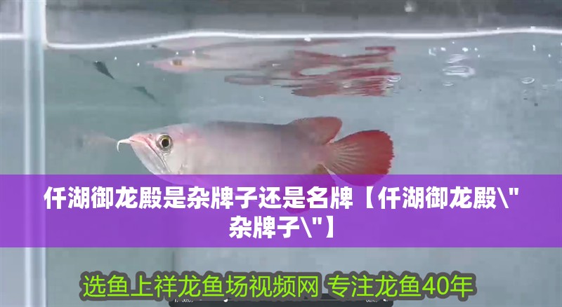 仟湖御龍殿是雜牌子還是名牌【仟湖御龍殿\