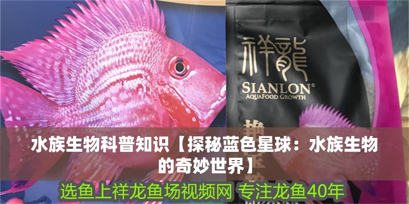 水族生物科普知識【探秘藍色星球：水族生物的奇妙世界】