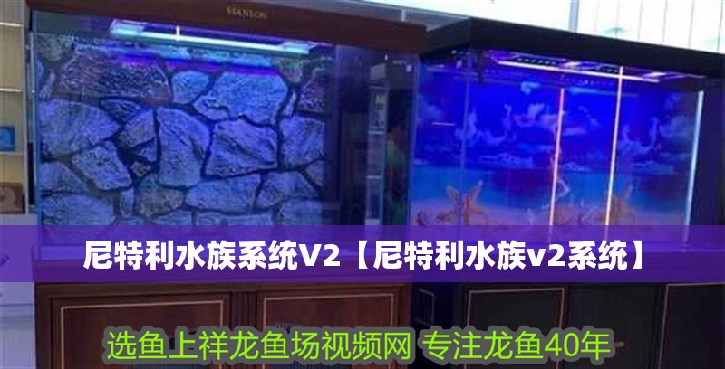 尼特利水族系統V2【尼特利水族v2系統】