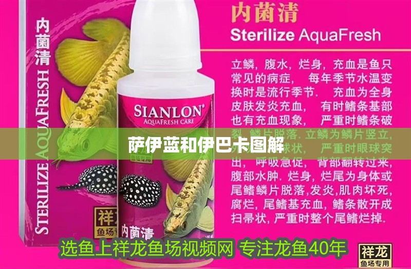 薩伊藍和伊巴卡圖解