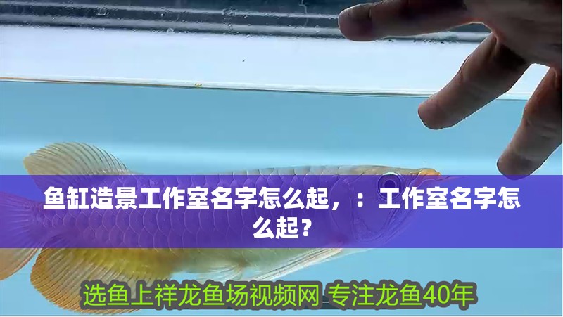 魚缸造景工作室名字怎么起，：工作室名字怎么起？