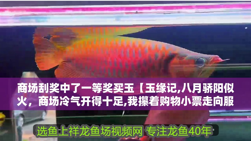 商場刮獎中了一等獎買玉【玉緣記,八月驕陽似火，商場冷氣開得十足,我攥著購物小票走向服務臺】