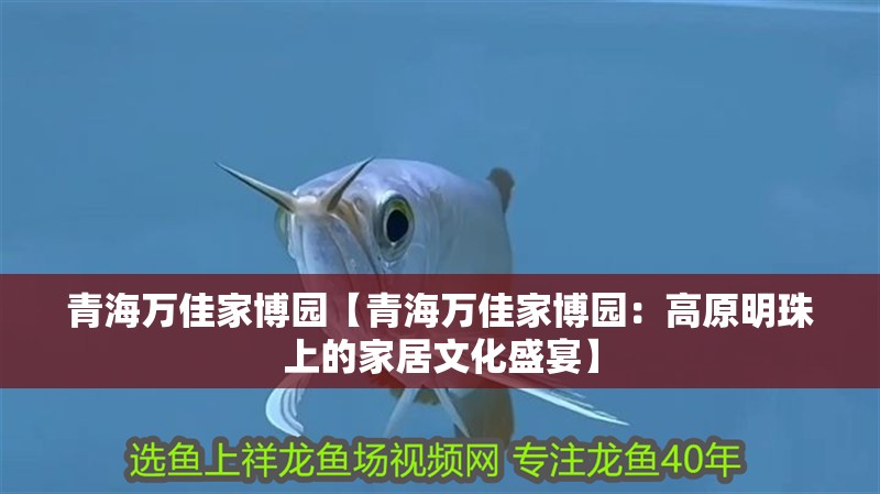 青海萬佳家博園【青海萬佳家博園：高原明珠上的家居文化盛宴】