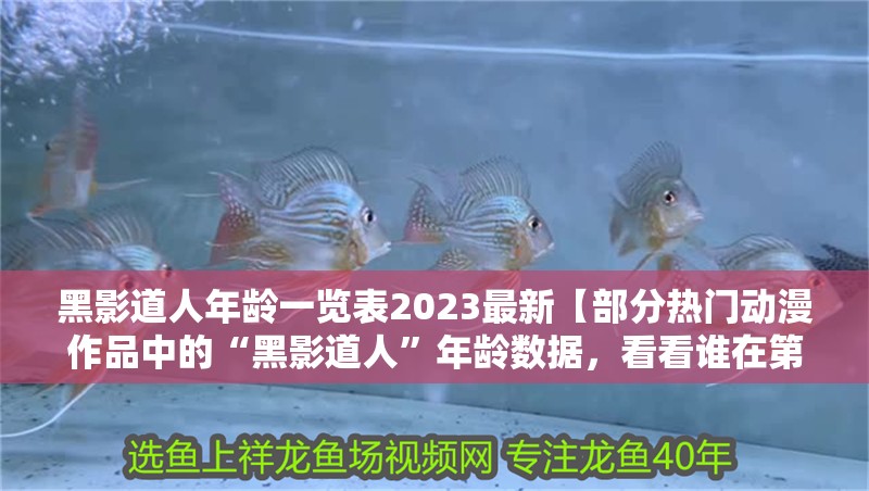 黑影道人年齡一覽表2023最新【部分熱門動漫作品中的“黑影道人”年齡數據，看看誰在第一】