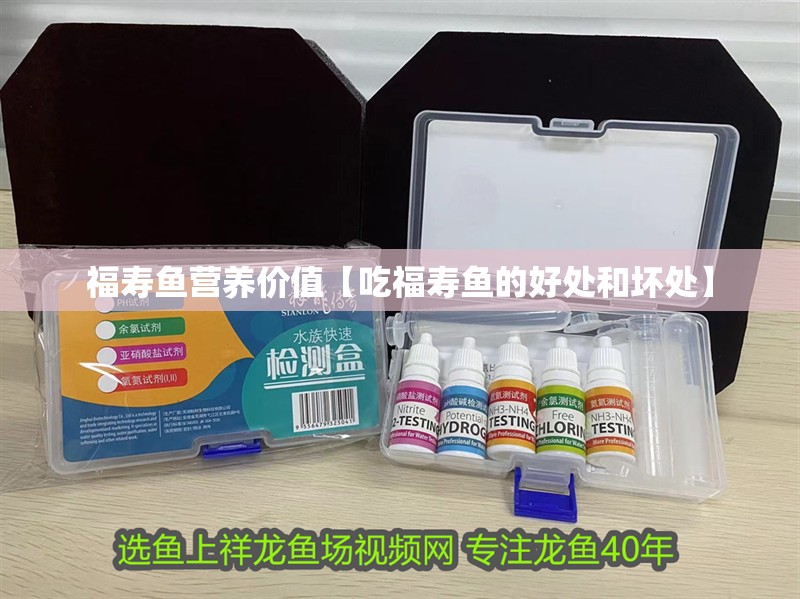 福壽魚營(yíng)養(yǎng)價(jià)值【吃福壽魚的好處和壞處】