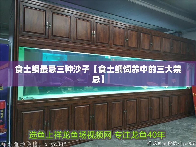 食土鯛最忌三種沙子【食土鯛飼養(yǎng)中的三大禁忌】