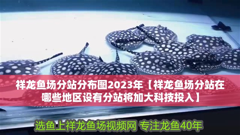 祥龍魚場分站分布圖2023年【祥龍魚場分站在哪些地區(qū)設(shè)有分站將加大科技投入】