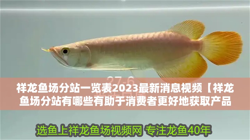祥龍魚場分站一覽表2023最新消息視頻【祥龍魚場分站有哪些有助于消費者更好地獲取產品與服務】