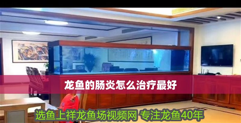 龍魚(yú)的腸炎怎么治療最好