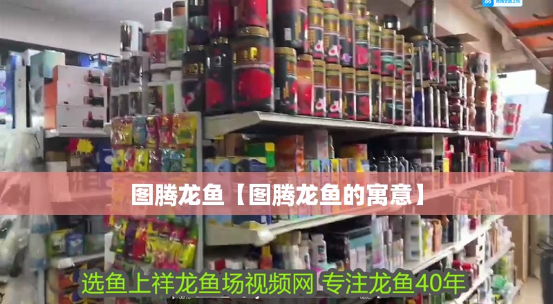 圖騰龍魚【圖騰龍魚的寓意】