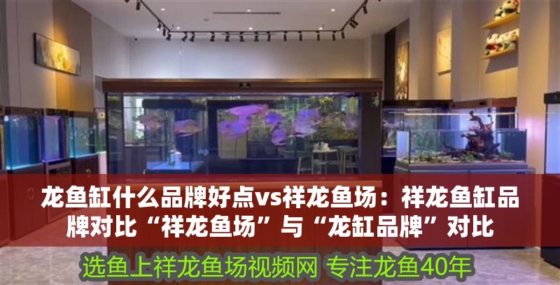 龍魚缸什么品牌好點vs祥龍魚場：祥龍魚缸品牌對比“祥龍魚場”與“龍缸品牌”對比