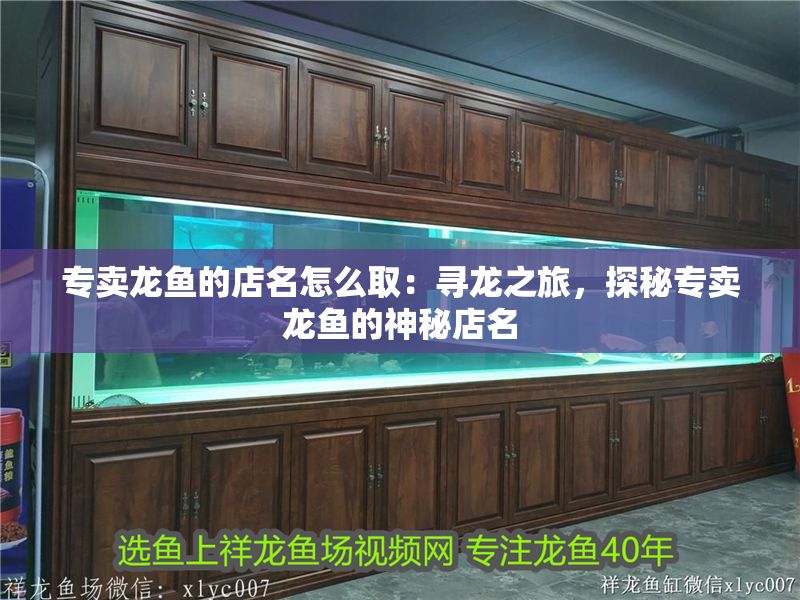 專賣龍魚的店名怎么取：尋龍之旅，探秘專賣龍魚的神秘店名