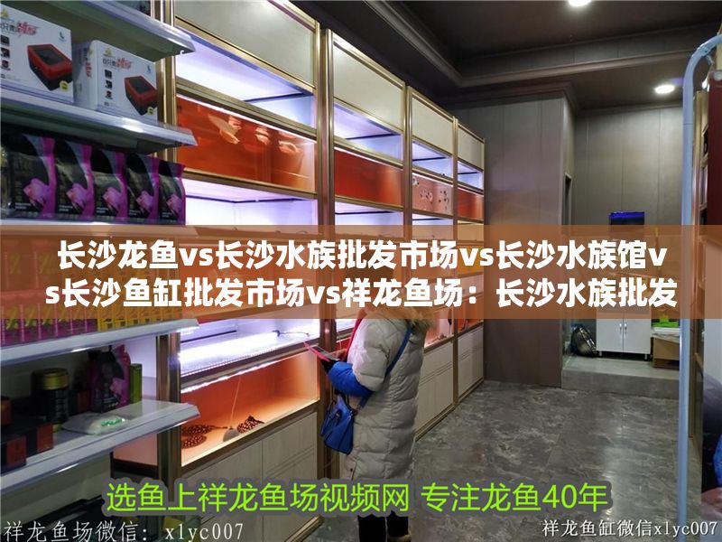 長(zhǎng)沙龍魚(yú)vs長(zhǎng)沙水族批發(fā)市場(chǎng)vs長(zhǎng)沙水族館vs長(zhǎng)沙魚(yú)缸批發(fā)市場(chǎng)vs祥龍魚(yú)場(chǎng)：長(zhǎng)沙水族批發(fā)市場(chǎng)