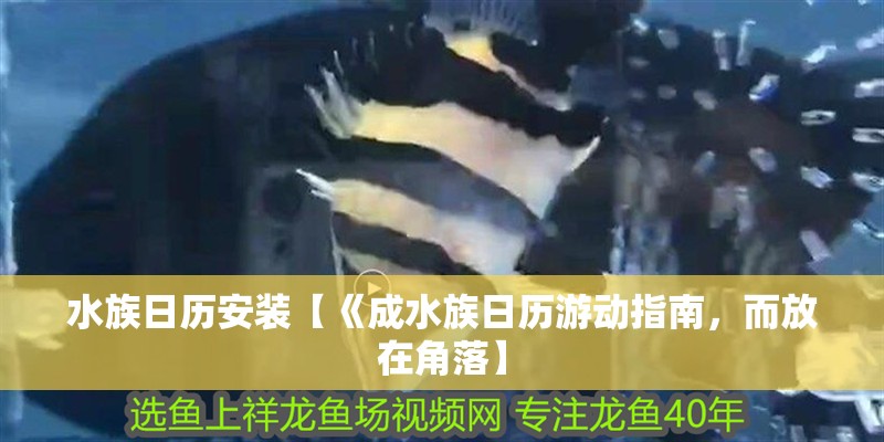水族日歷安裝【《成水族日歷游動指南，而放在角落】