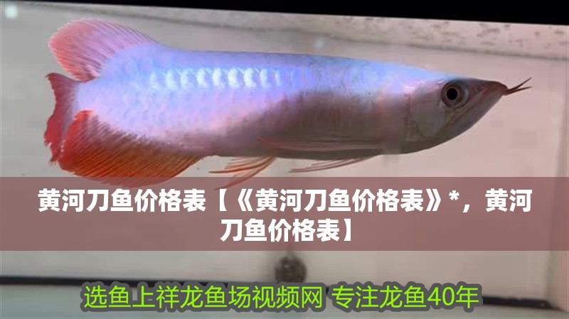 黃河刀魚價格表【《黃河刀魚價格表》*，黃河刀魚價格表】