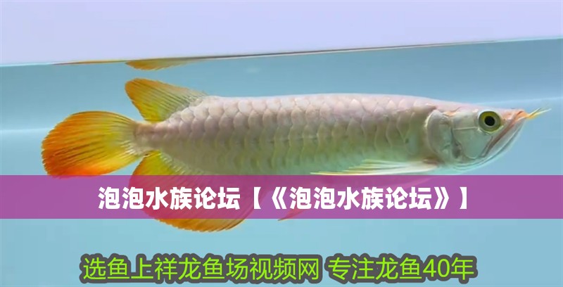 泡泡水族論壇【《泡泡水族論壇》】