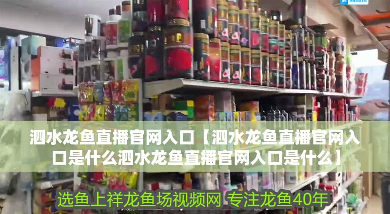 泗水龍魚直播官網入口【泗水龍魚直播官網入口是什么泗水龍魚直播官網入口是什么】