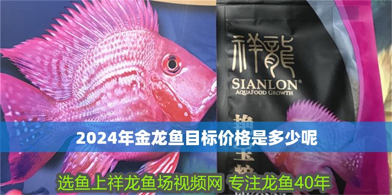 2024年金龍魚目標價格是多少呢