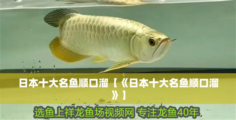 日本十大名魚順口溜【《日本十大名魚順口溜》】