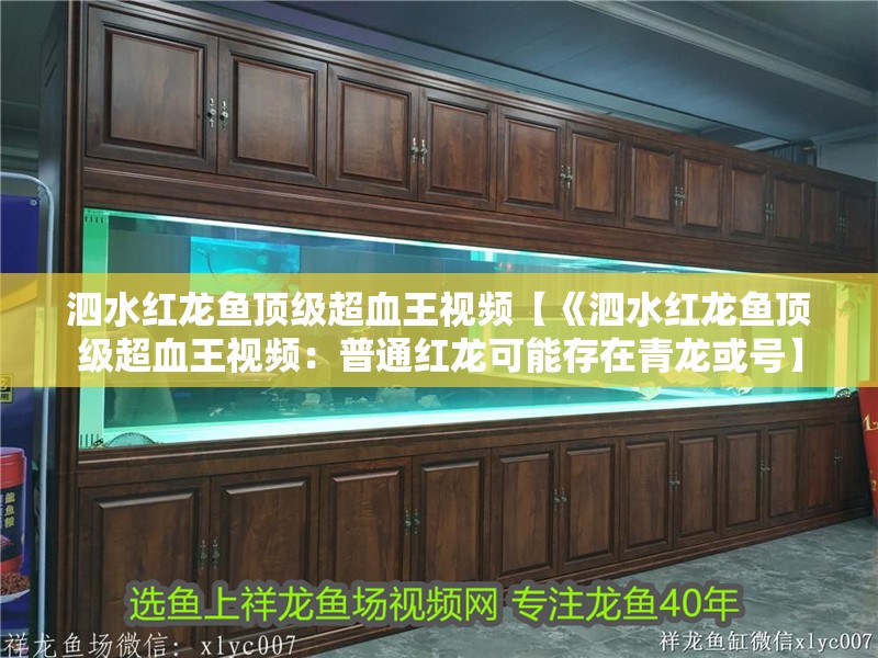 <strong><mark>泗水</mark></strong>紅龍魚頂級超血王視頻【《<strong><mark>泗水</mark></strong>紅龍魚頂級超血王視頻：普通紅龍可能存在青龍或號】